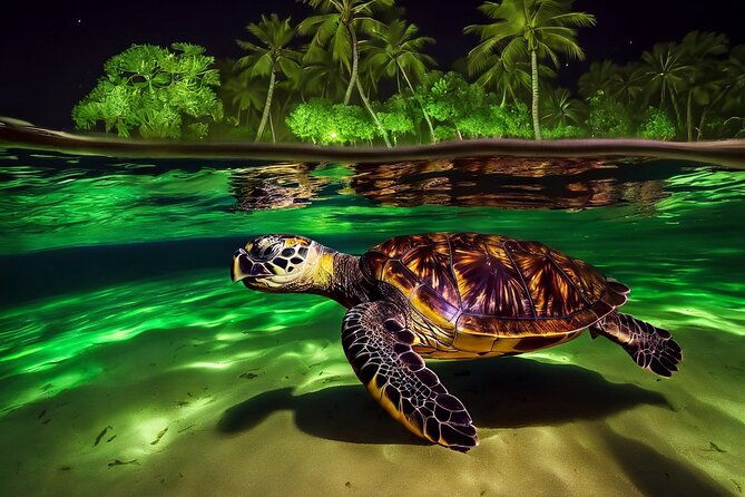 san-juan-led-night-snorkel