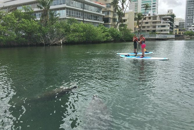 san-juan-paddleboard-kayak-snorkeling-guided-tours