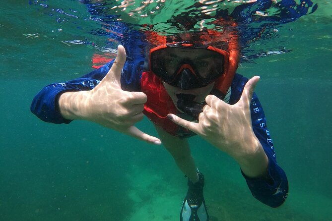 san-juan-snorkeling-with-turtles-adventure-and-free-videos