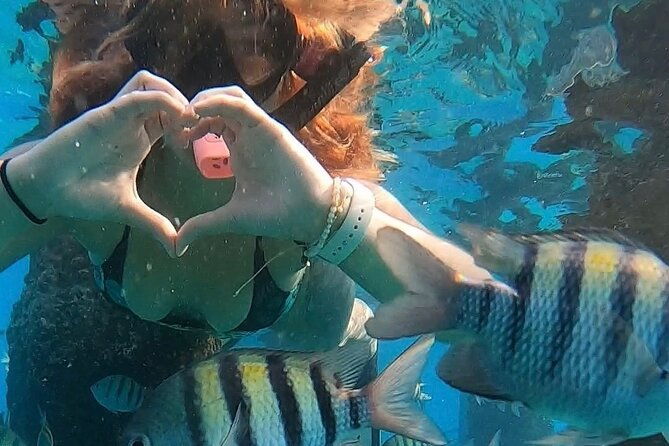san-juan-snorkeling-with-turtles-adventure-and-free-videos