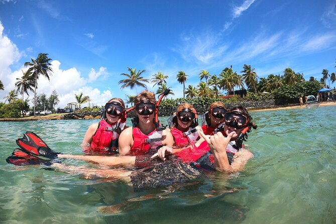 san-juan-snorkeling-with-turtles-adventure-and-free-videos