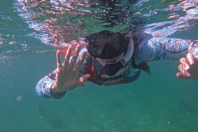 san-juan-snorkeling-with-turtles-adventure-and-free-videos