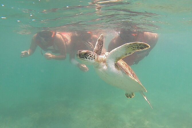 san-juan-snorkeling-with-turtles-adventure-and-free-videos
