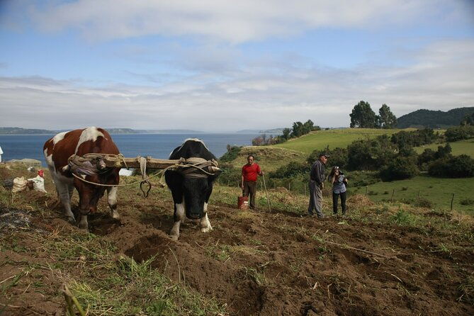 san-juan-tenaun-colo-aucar-island-of-navigating-souls