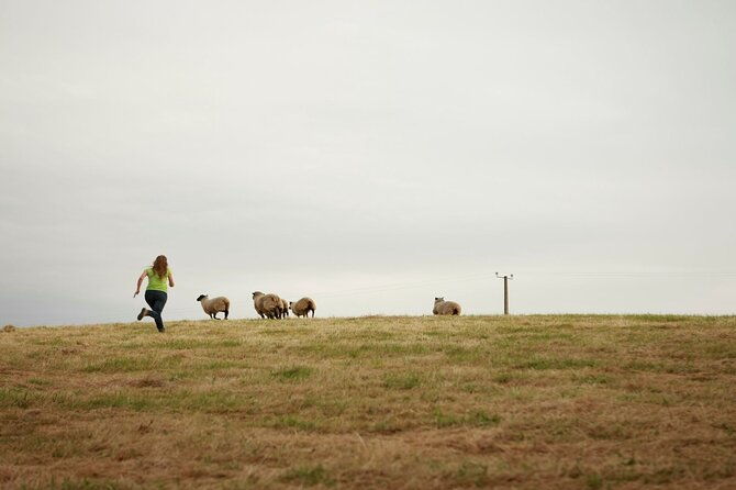 san-juan-tenaun-colo-aucar-island-of-navigating-souls