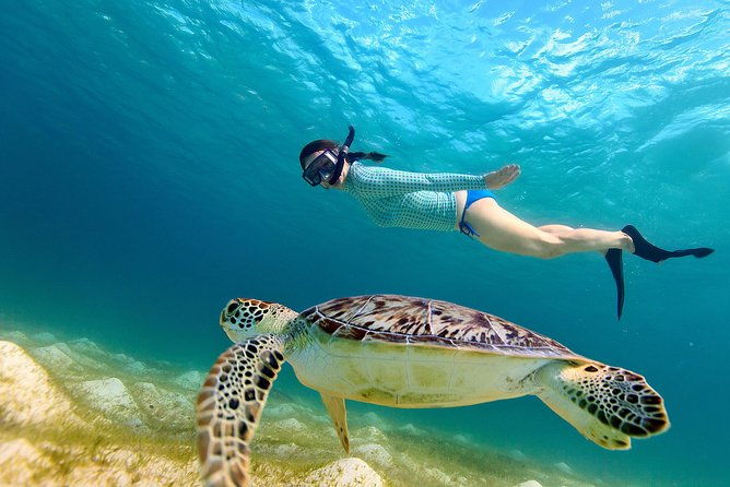 san-juan-turtle-spotting-snorkel-adventure-with-videos