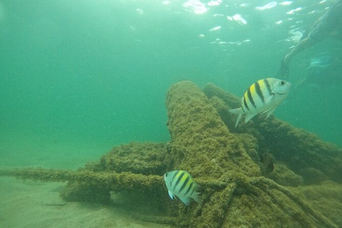 san-juan-turtle-spotting-snorkel-adventure-with-videos