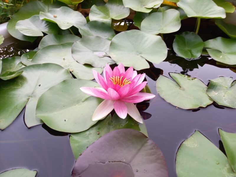 san-leo-hike-to-the-tausano-ridge