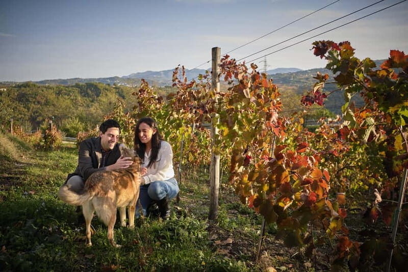 San Mango sul Calore: Wine Tasting Experience - Key Points