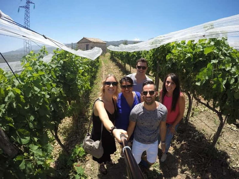 San Mango sul Calore: Wine Tasting Experience - Discovering the Heart of Campanian Winemaking