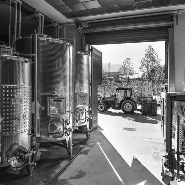 San Mango sul Calore: Wine Tasting Experience - Final Thoughts