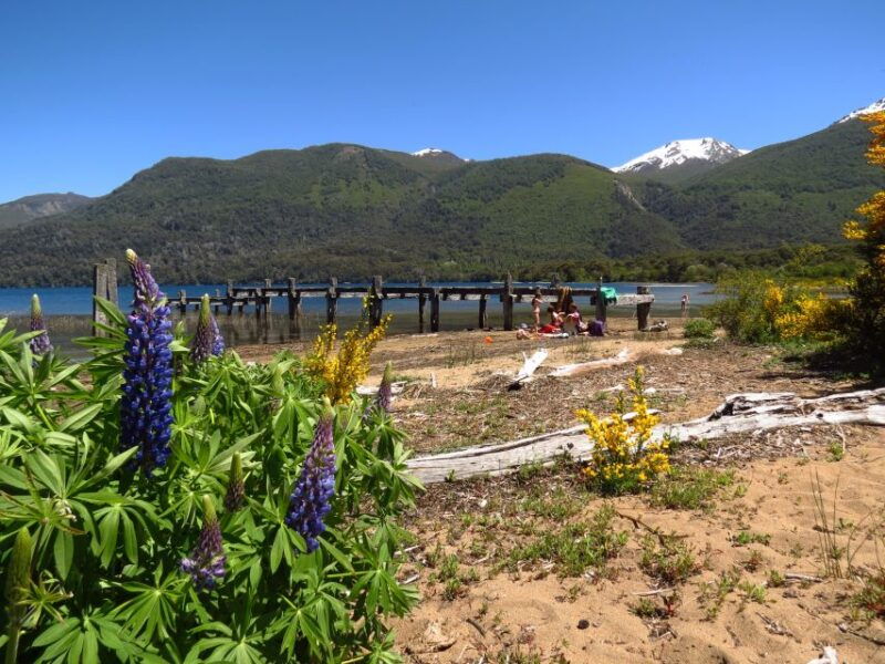 san-martin-de-los-andes-via-7-lakes