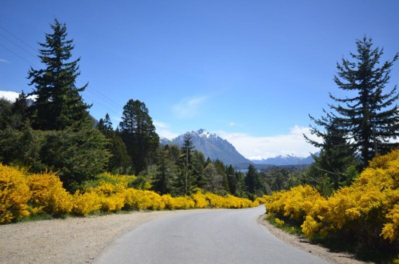 san-martin-de-los-andes-via-7-lakes