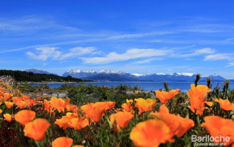 san-martin-de-los-andes-via-7-lakes