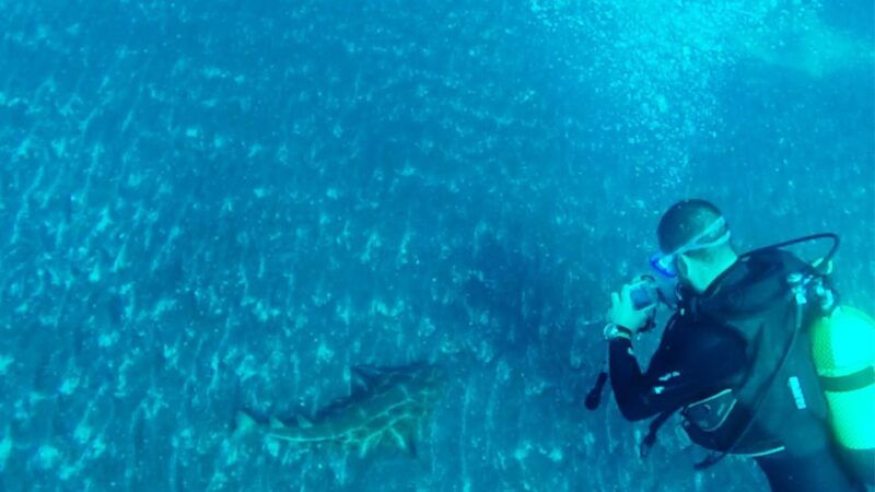 san-miguel-de-abona-2-dive-package