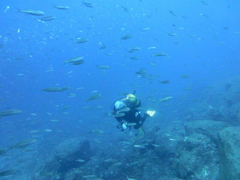 san-miguel-de-abona-2-dive-package