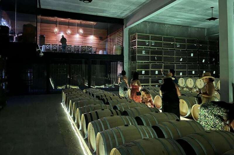 San Miguel de Allende: 3 or 5-Course Menu & Wine Pairing - Discover the Flavors and Fabrics of Mexico at Tres Raíces Winery