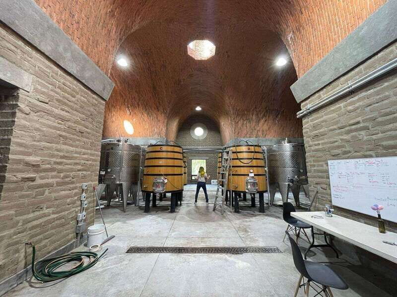 San Miguel de Allende: A Journey Through Vineyards - Practical Details and Logistics