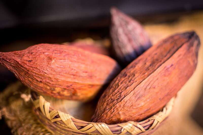 san-miguel-de-allende-chocolate-tasting-and-walking-tour