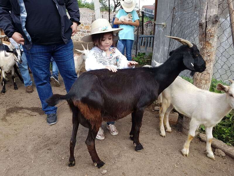 San Miguel de Allende: Full-Day Ranch Adventure - FAQ About the San Miguel de Allende Ranch Adventure