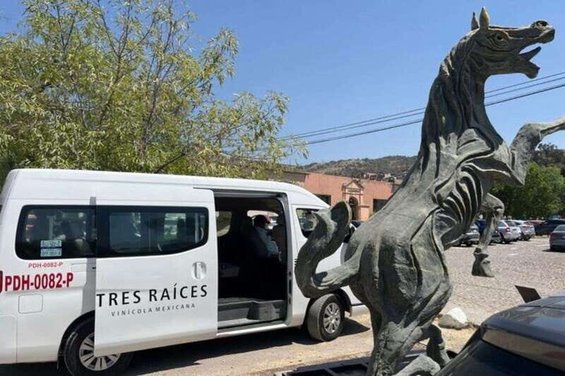 San Miguel de Allende: Local Vineyard Tour & Wine Tasting - What to Expect from the Vineyard Tour & Tasting