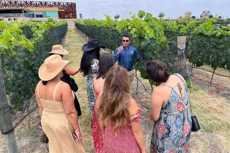 San Miguel de Allende: Local Vineyard Tour & Wine Tasting - Transportation & Convenience