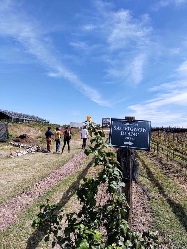 San Miguel de Allende: Local Vineyard Tour & Wine Tasting - Final Thoughts