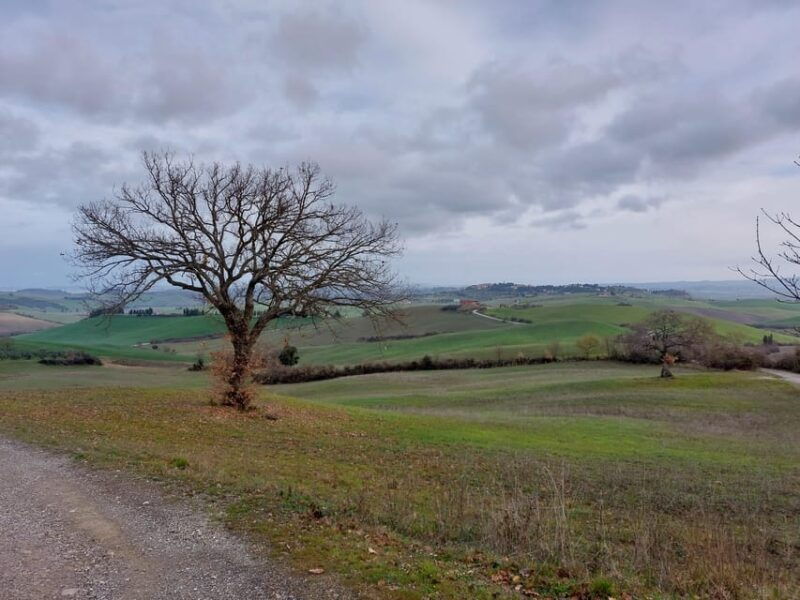 san-miniato-e-bike-tour-truffle-hills-and-brunch