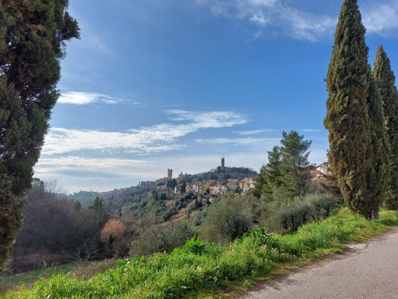 san-miniato-e-bike-tour-truffle-hills-and-brunch