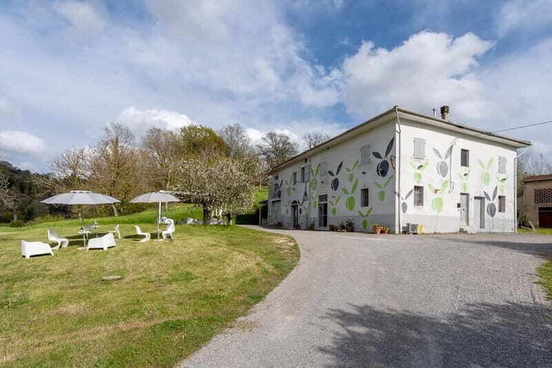 San Miniato: Organic Wine and Olive Oil Tasting Experience - A Closer Look at the Experience