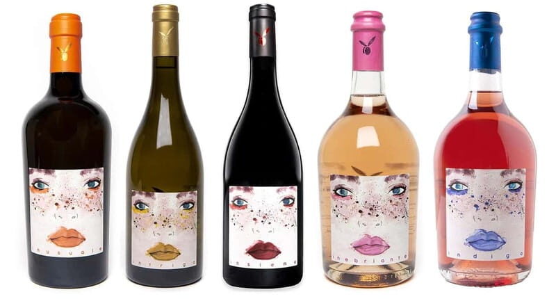 San Miniato: Organic Wine and Olive Oil Tasting Experience - Who It’s Best For