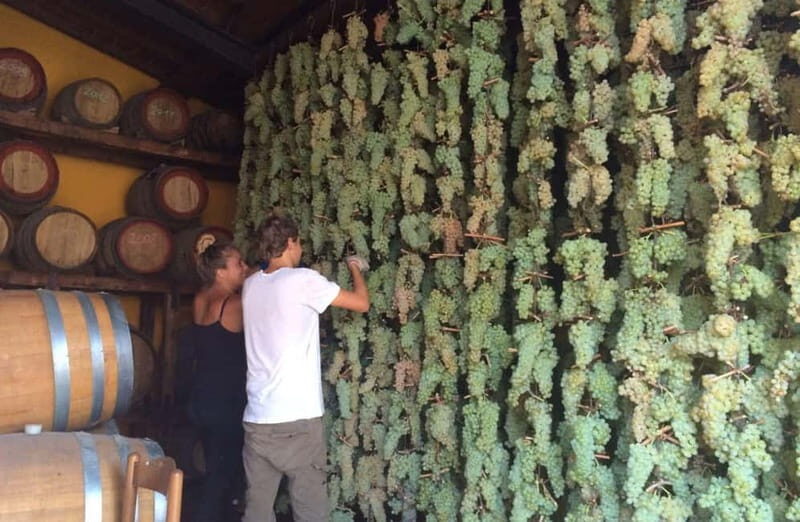 San Miniato: Organic Wine Tasting and Vineyard Tour - Discovering San Miniato’s Organic Wine Experience: An In-Depth Review