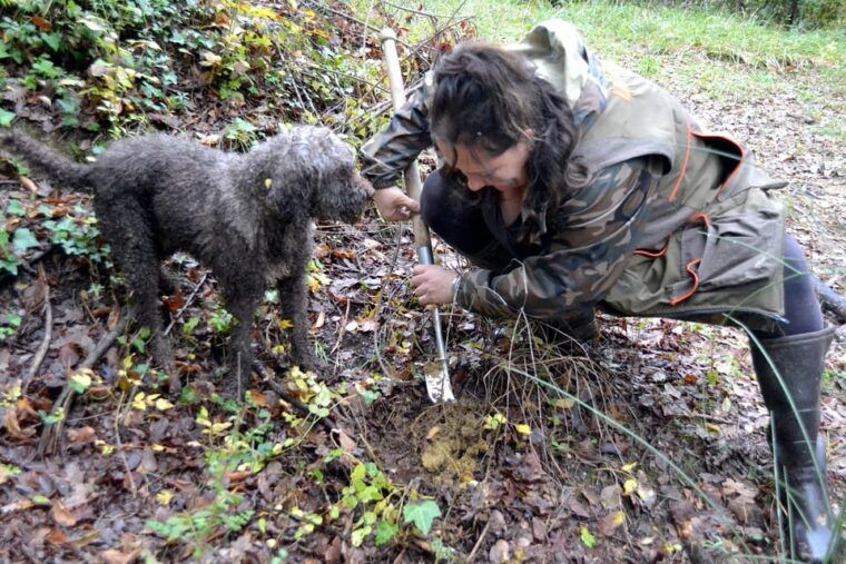 san-miniato-truffle-hunting-food-and-gourmet-experience