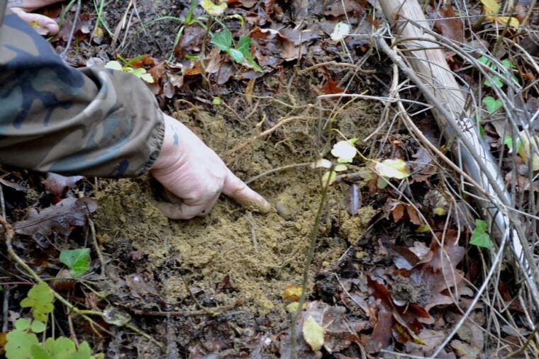 san-miniato-truffle-hunting-food-and-gourmet-experience