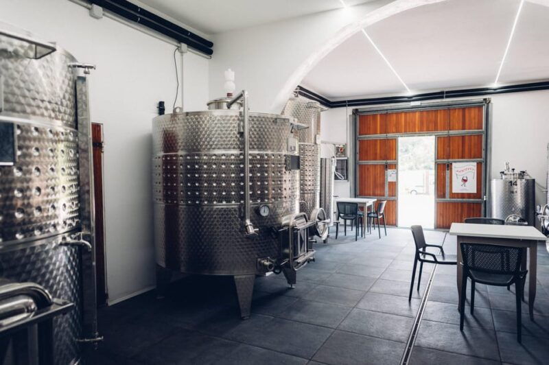 san-miniato-wine-tour-in-a-family-run-tuscan-winery