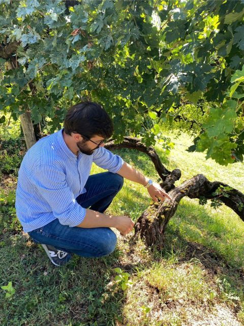 san-pietro-di-feletto-vineyard-tour-with-cellar-visit