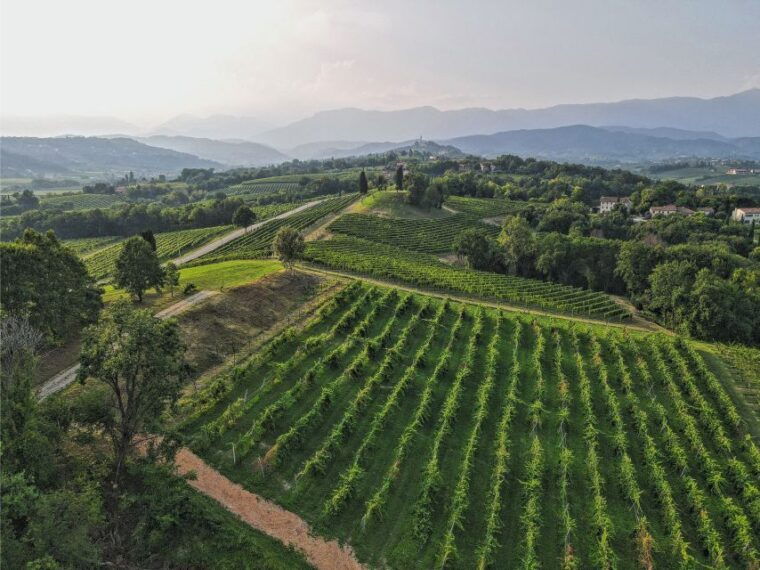 san-pietro-di-feletto-vineyard-tour-with-cellar-visit