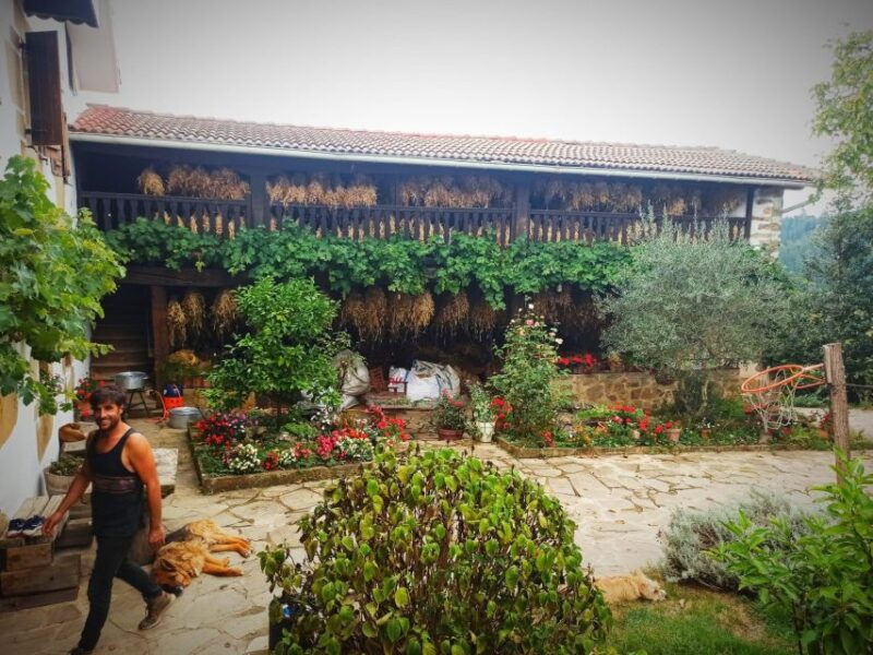 san-sebastiandiscover-the-artisan-producers-of-the-mountain