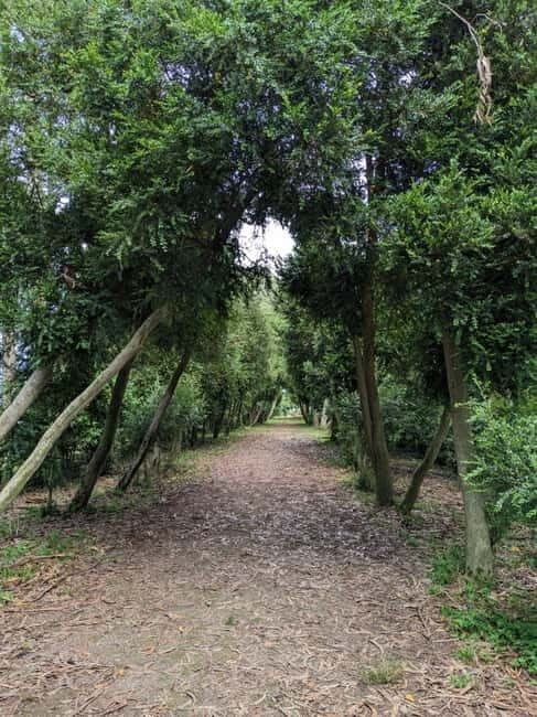 San Simón Island Excursion - What’s Included and How It Matters