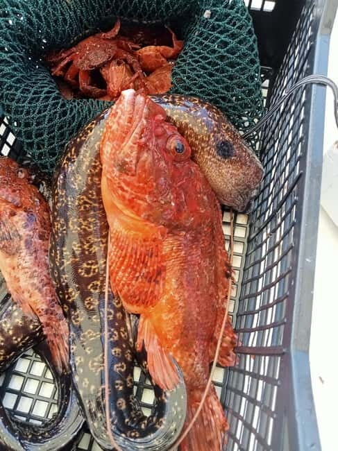 San Teodoro: Fishing trip and lunch with fresh catch and diving among the islands - Final Thoughts