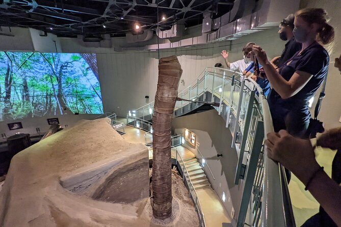 sanbe-azukihara-principle-buried-forest-park-jomon-no-mori