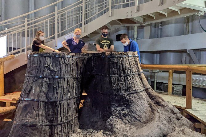 sanbe-azukihara-principle-buried-forest-park-jomon-no-mori