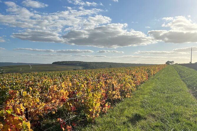sancerre-private-wine-tour-with-10-tastings-and-lunch-from-paris