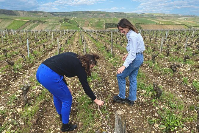 sancerre-private-wine-tour-with-10-tastings-and-lunch-from-paris