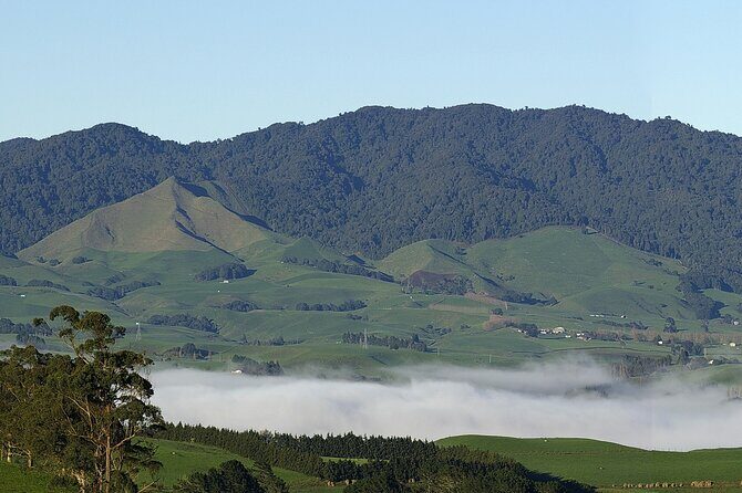 Sanctuary Mountain Ancient Forest Walk & Hamilton Gardens Tour - Exploring Hamilton Gardens