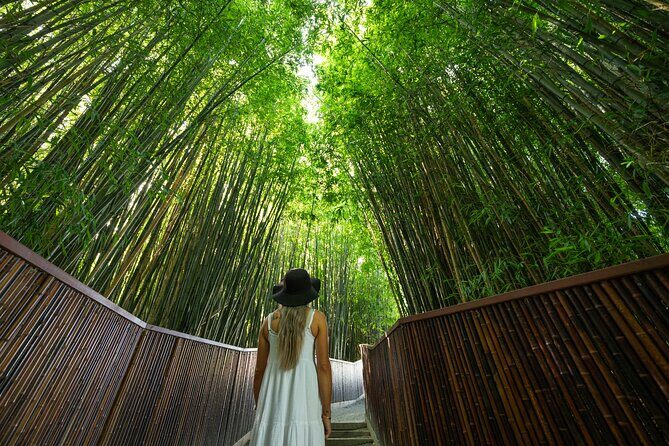 Sanctuary Mountain Ancient Forest Walk & Hamilton Gardens Tour - Is This Tour Worth It?