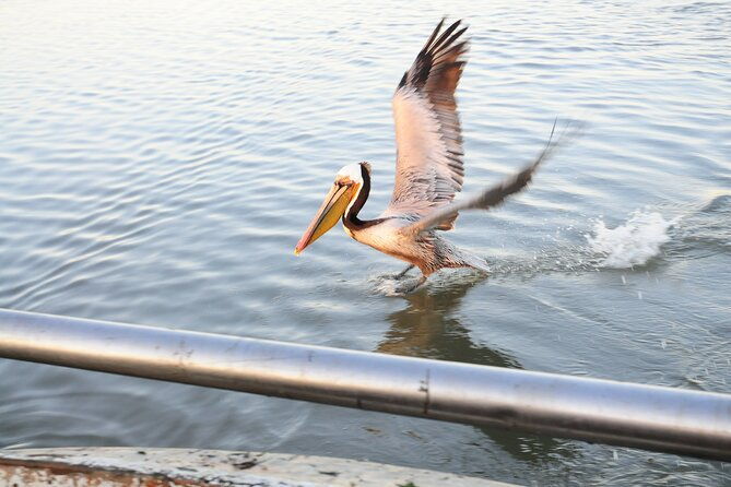 sand-castles-the-remarkable-story-of-the-san-francisco-embarcadero-2