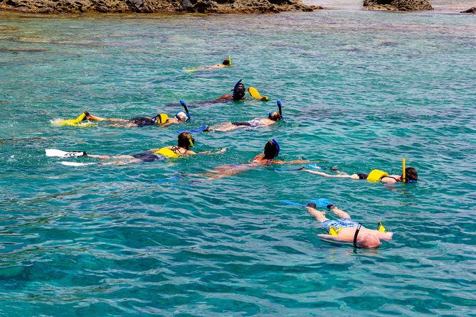 sand-dollar-half-day-snorkel-trip