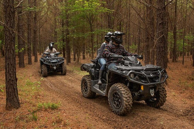 sand-hollow-atv-rentals-new-4-person-utv-bring-up-to-4-people-per-machine