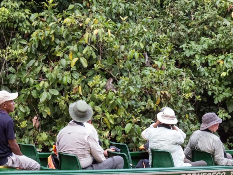 Sandakan: 2-Day Kinabatangan River Wildlife Tour & Cave - What Makes This Tour Worth It